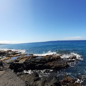 Meet your Posher, Janea